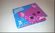 CD en Digipack 3 1 (16)
